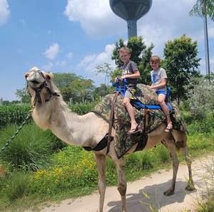 Meet your Posher, Christopher